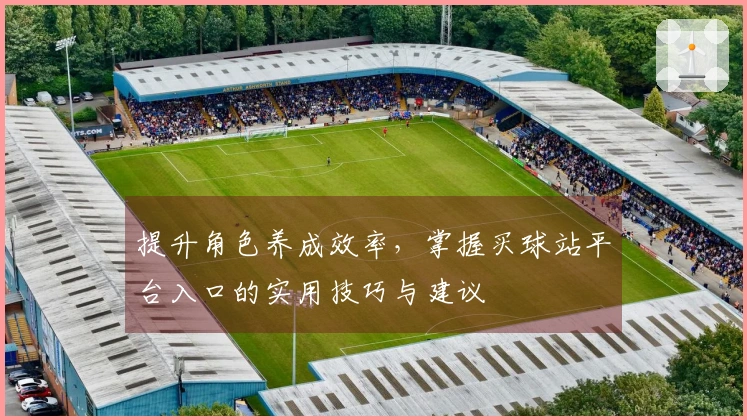 提升角色养成效率，掌握买球站平台入口的实用技巧与建议